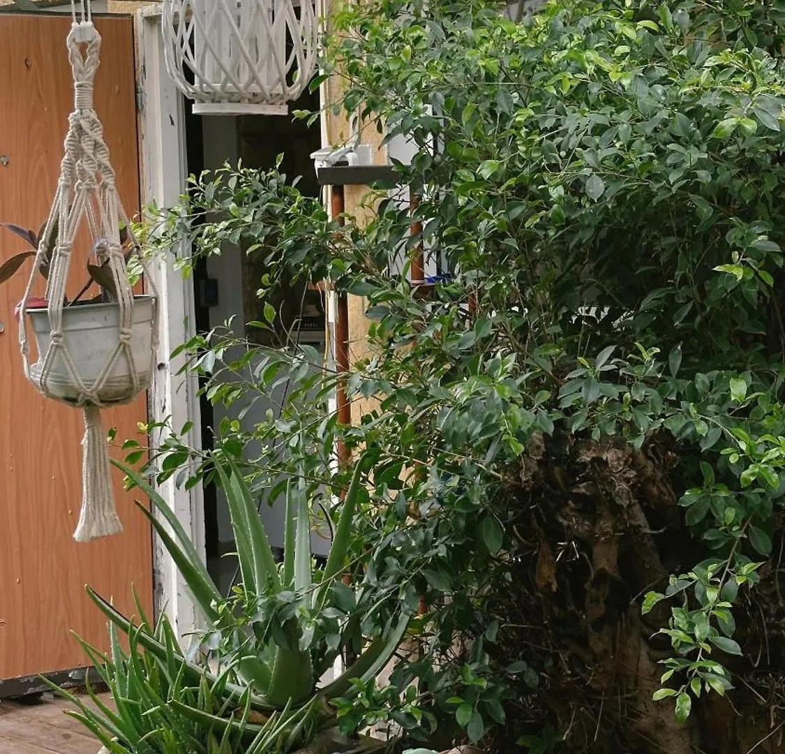 Dream House Art Hostel Garden And Terrace Haifa Israel